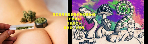молекула духа Баксан