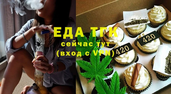 хмурый Аркадак