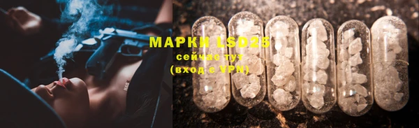 стаф Арсеньев