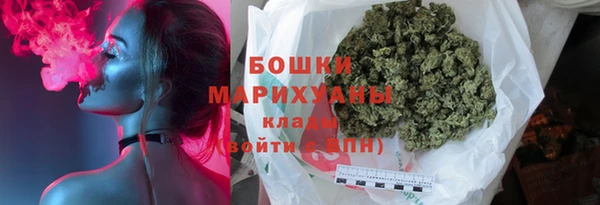 хмурый Аркадак