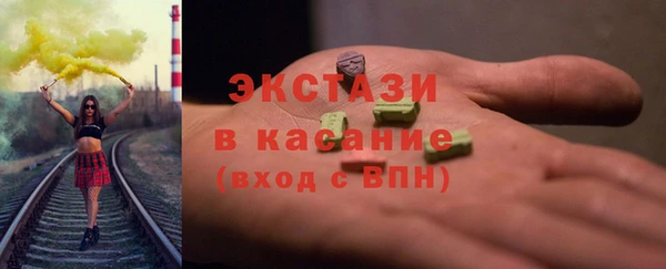 хмурый Аркадак