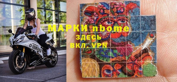 стаф Арсеньев