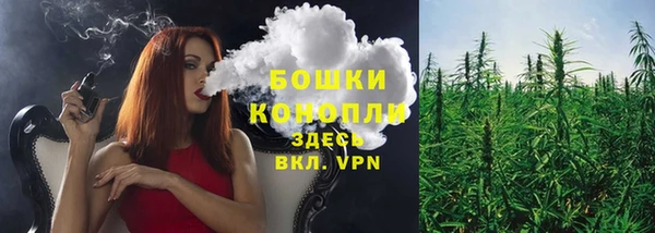 хмурый Аркадак