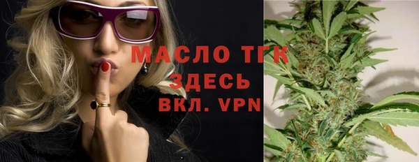 стаф Арсеньев