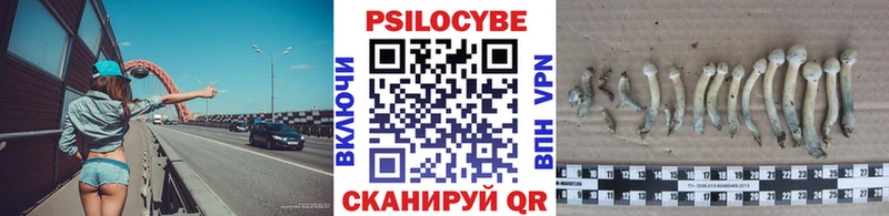 Псилоцибиновые грибы Cubensis  Мурманск 